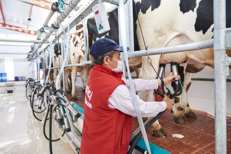 Süt Ve Süt Ürünleri Üretimi Temmuzda Azaldı