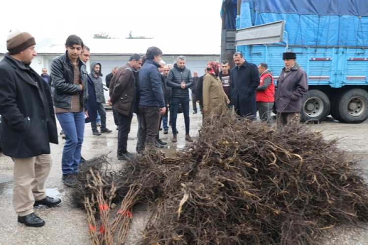 Elazığ’da Üreticilere Yüzde 75 Hibeli Ceviz Fidan Dağıtımı Yapıldı