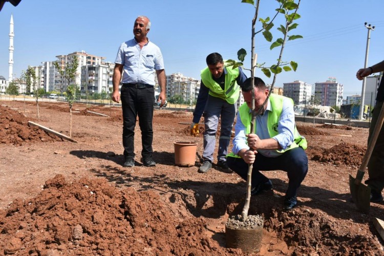 Kent içi tarım 'meyve' vermeye başladı