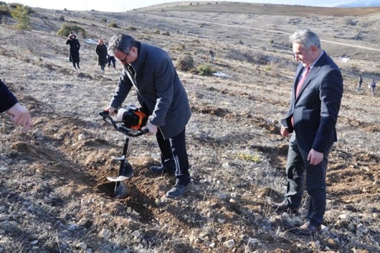 Gümüşhane’de İlk Kapama Kuşburnu Bahçesi Kuruldu