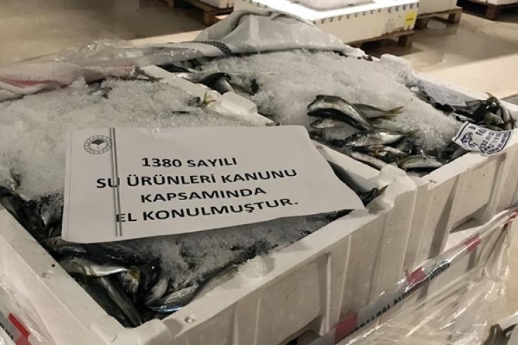 Gece Yarısı Denetimle 53 Ton Balığa El Konuldu