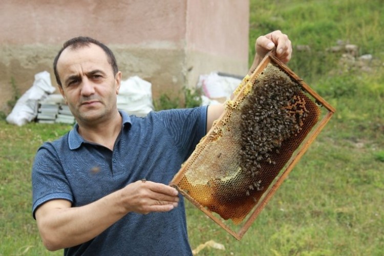 Anzer Balı Sağımı Tamamlandı, Sıra Tahlile Geldi