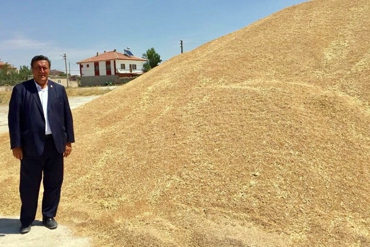 Buğdayda tehlike çanları çalmaya başladı!