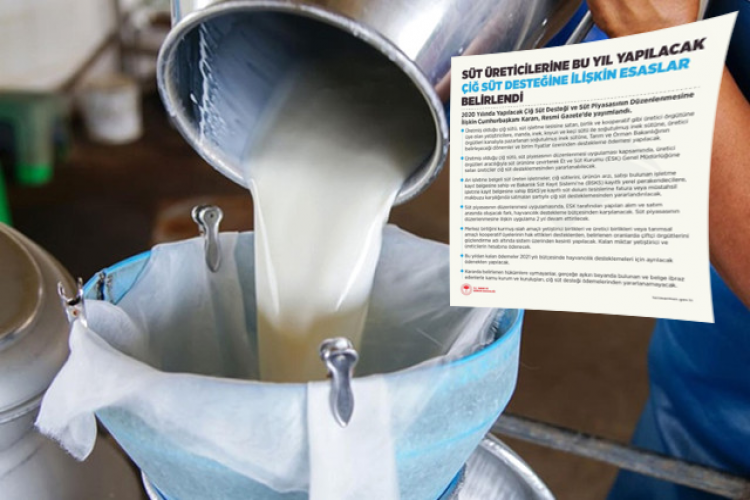 Süt Üreticilerine Bu Yıl Yapılacak Çiğ Süt Desteğine İlişkin Esaslar Belirlendi