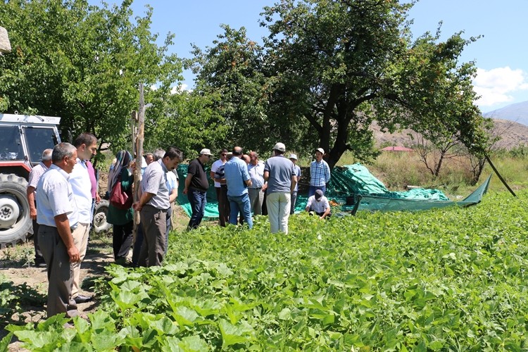 İlk Kez Ekimi Gerçekleştirilen Kuru Fasulye Çeşidi İçin Tarla Günü Düzenlendi