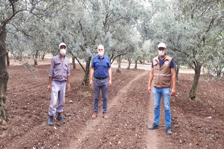 İlçe Tarım Müdürlüğü Sosyal Medya Aracılığıyla da Üreticileri Bilgilendiriyor.