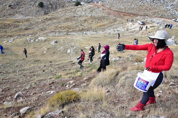 Feslikan Yaylasını Gönüllü Gençler Gübreledi