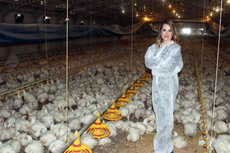 TKDK Destekleri İle Tavuk Çiftliğinin Patronu Oldu