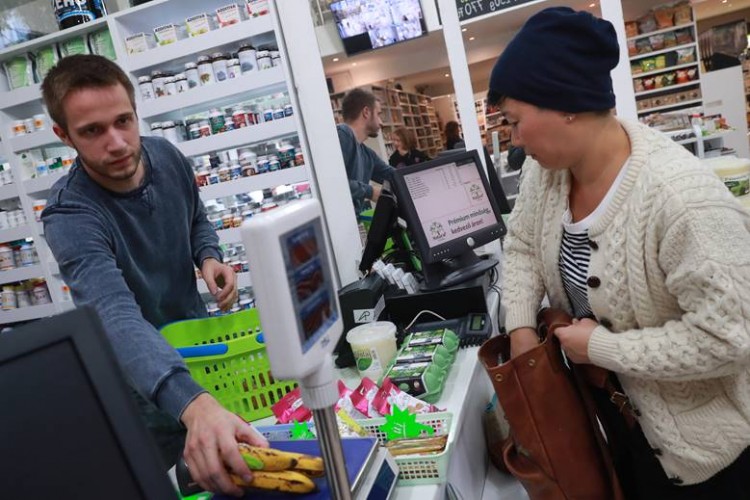 Muz Üretimine Yönelik Tehditler İstanbul'daki Çalıştayda Ele Alındı