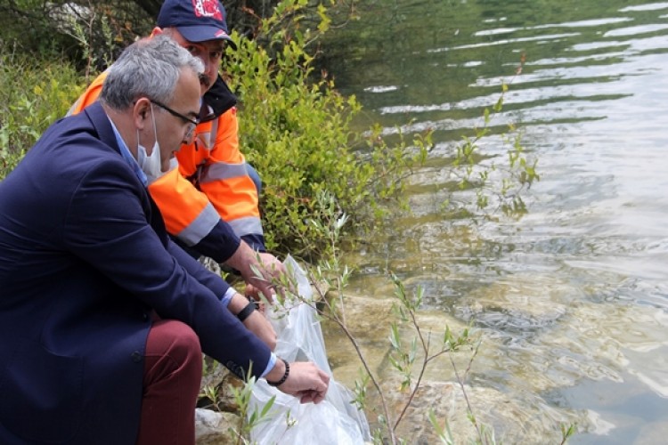 Yalova’da Göletler Balıklandırıldı