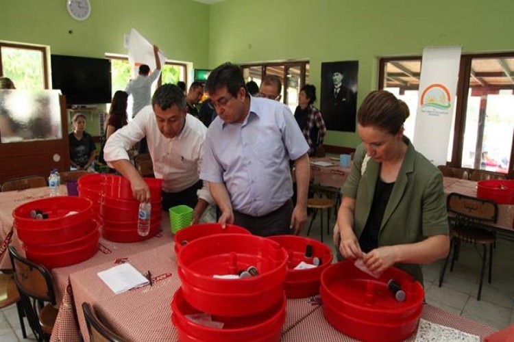 Domates Güvesine ( Tuta Absoluta) Karşı Biyoteknik Mücadele Devam Ediyor