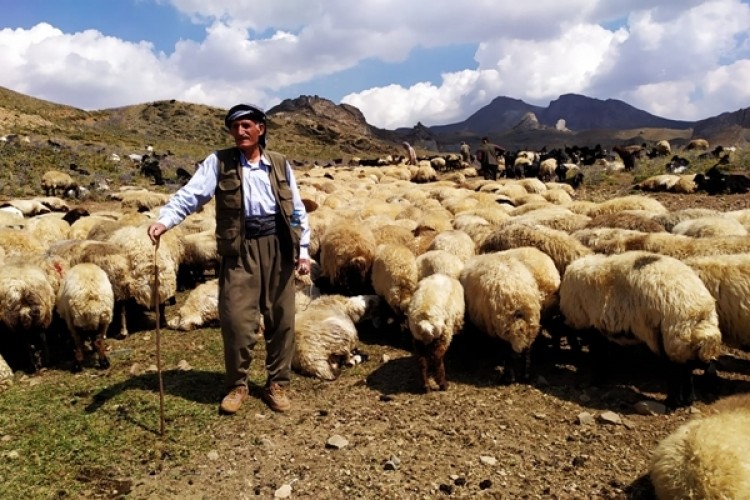 Beytüşşebap’ta Göçerlerin Dönüşü Güzel Görüntülere Sahne Oldu