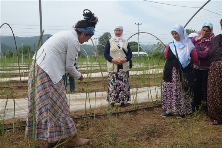 “Tat, Tanı Ve Doğada Bırak” Sloganı İle Başlayan Proje Devam Ediyor