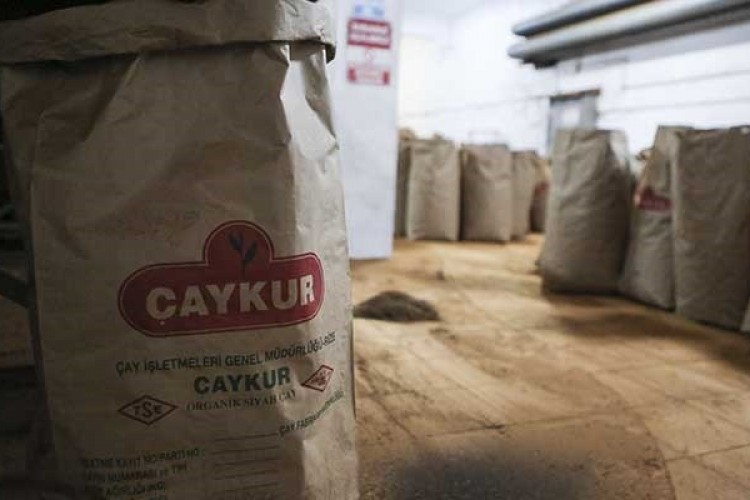 ÇAYKUR’un Üç Yıllık Zararı 1,5 Milyar Liraya Ulaştı