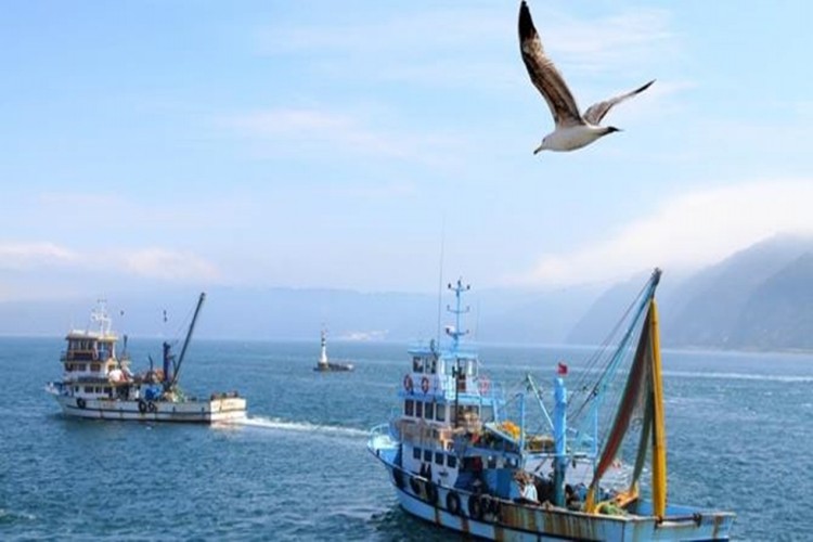 Kıyı Balıkçılarına 500 - 1.000 TL Arasında Destekleme Yapılacak