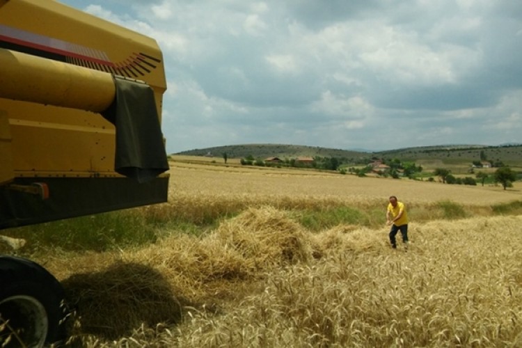 Samsun'da Biçerdöver Kontrollerinden Ekonomiye 4.4 Milyonluk Kazanç Sağlandı