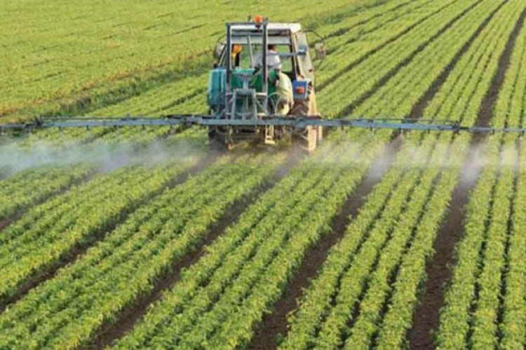 Sudan'da Türk Şirketlere Tarımsal Yatırımın Önü Açılıyor