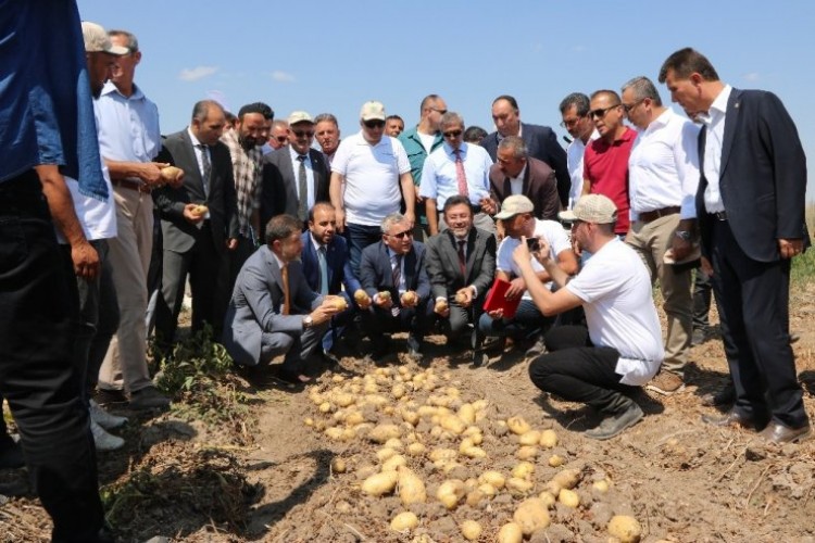 Patates Üretiminde Hedef Verimi Yüzde 25’in Üzerine Çıkarmak