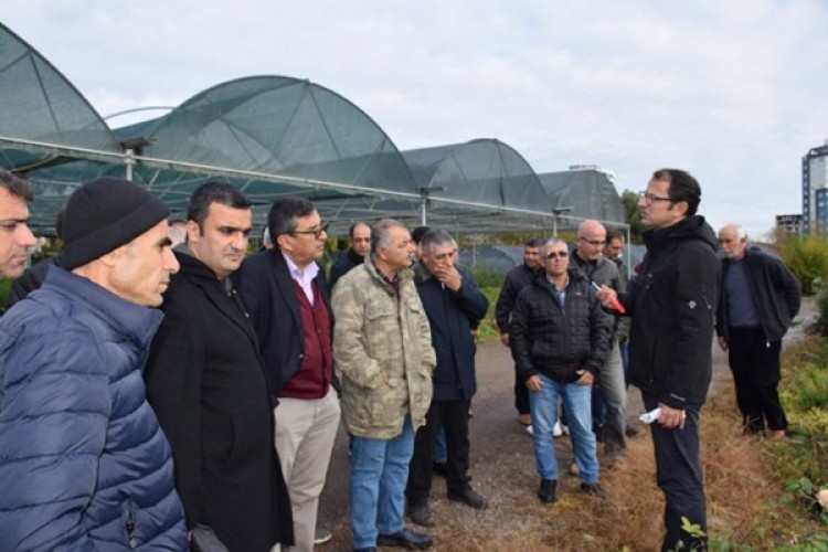 Büyükşehir, Mersin Tarımına Değer Veriyor