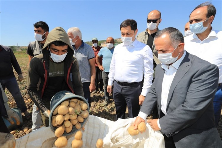 Vali Masatlı sebze hasadı yapan üreticileri ziyaret etti