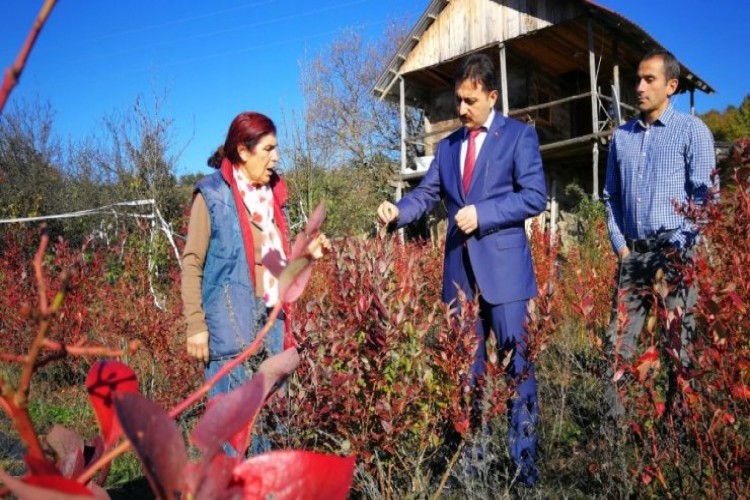 İşini bıraktı! Hayallerinin peşinden gitti...