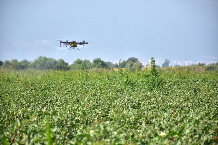 Tarımsal İlaçlamada Drone Dönemi