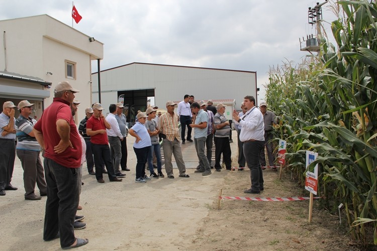 MAY Tohum Mısır Üreticilerini Ar-Ge İstasyonunda Ağırladı