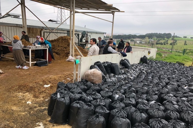 Körfez’de “Kültür Mantarı Yetiştiriciliği” Eğitimleri Tamamlandı