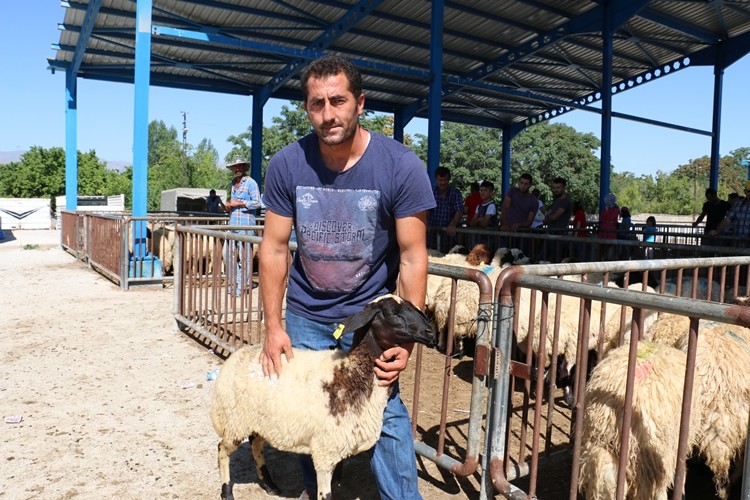 Erzincan’da Genç Çiftçiler Koyunlarına Kavuştu