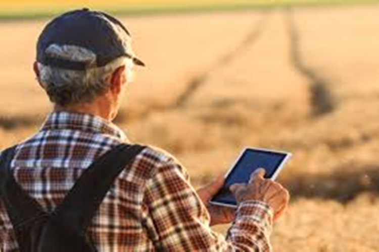 Çiftçiler bürokrasiye takılmadan online işlem yapabilecek