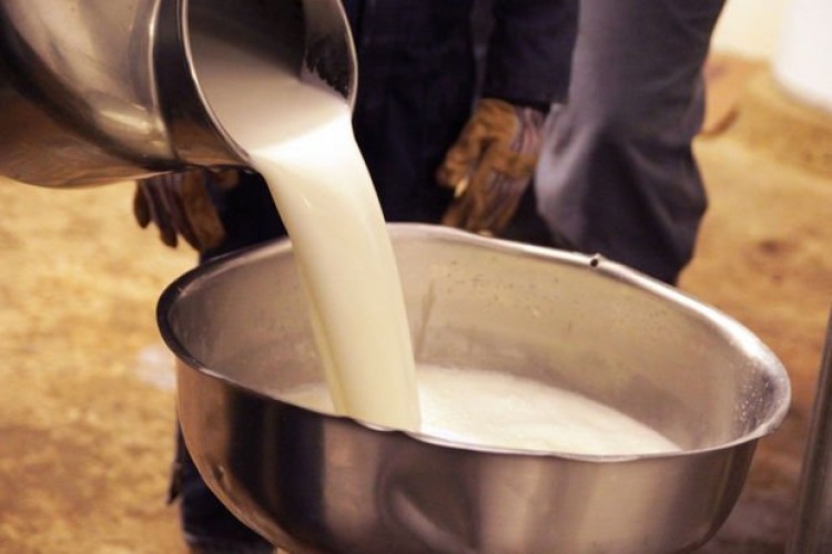 Toplanan İnek Sütü Miktarı Haziran'da Yüzde 13,1 Arttı