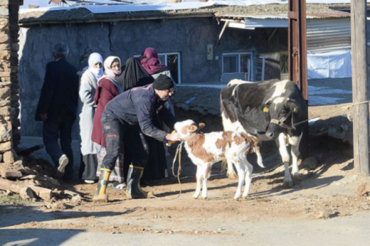 Veteriner Hekimlerden Anlamlı Destek