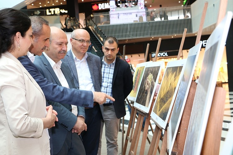 Tarımdan Kareler Bolu’da Fotoğraf Sevdalıları İle Buluştu