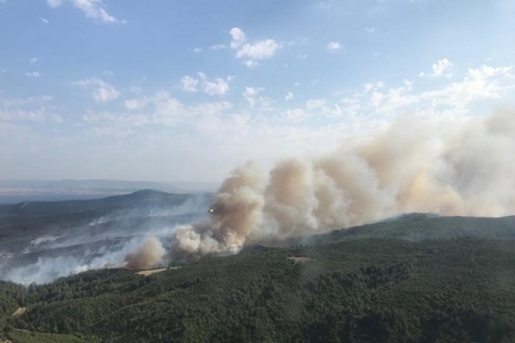 Gelibolu Orman Yangını Kontrol Altına Alındı