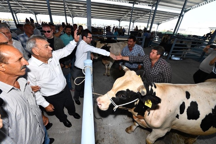 İzmir tarımda, hayvancılıkta, sütte dünyanın takdiri topluyor