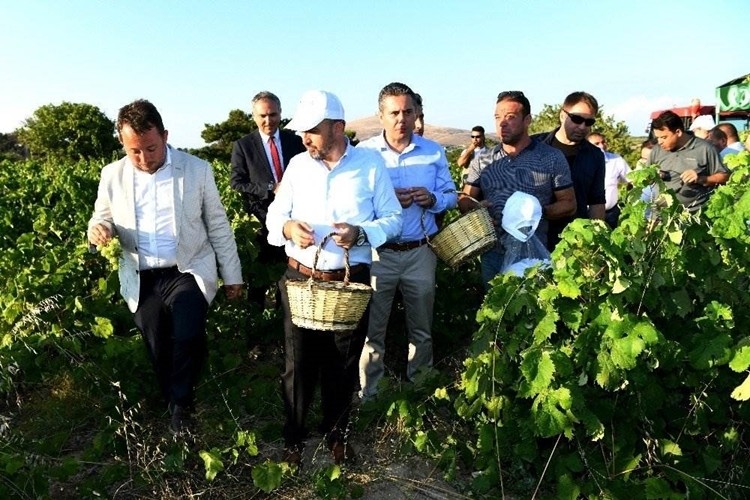 Troya 2018 Yılı Bozcaada Bağbozumu Etkinlikleri Başladı