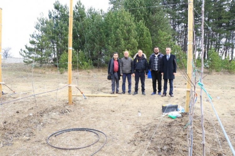 Atıl Vaziyetteki Araziyi Alıp Kentin En Büyük Elma Tarlasına Dönüştürdü