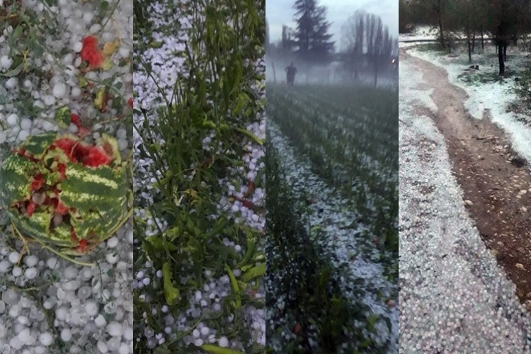 Korkuteli’nde Sağanak Ve Dolu, Tarım Alanlarını Vurdu