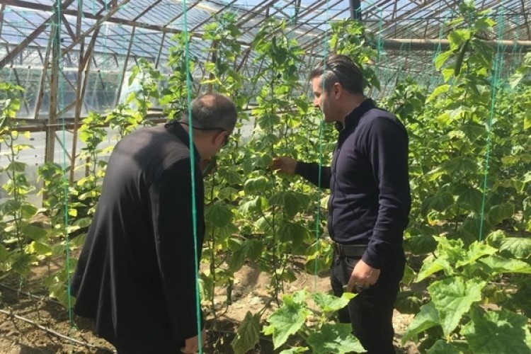 Kaş’ta Biyolojik Mücadelenin Yaygınlaştırılması Eğitimi Yapıldı