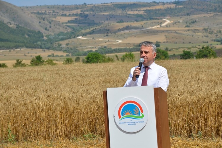 Karabük'te Buğday ve Arpa Çeşit Demonstrasyonu Tarla Günü Düzenlendi