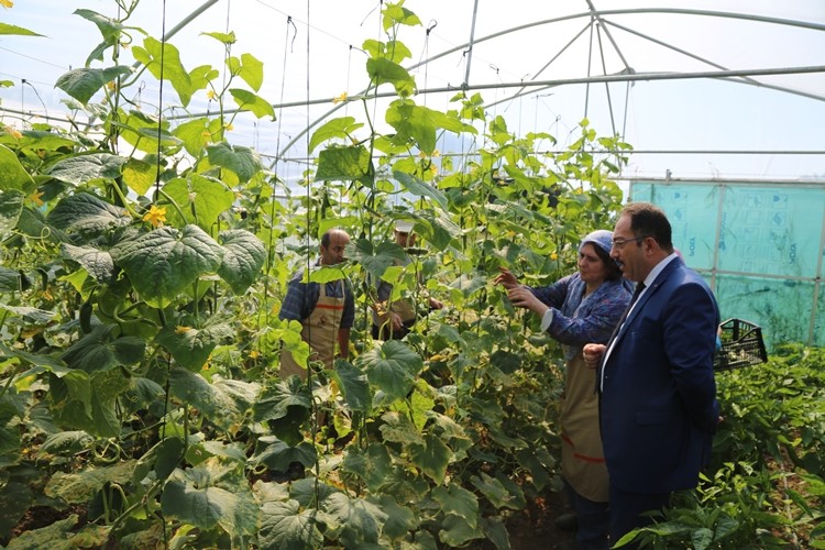 Bursa 'Tarımla Engellerimizi Aşıyoruz Projesi' İle Rol Model Olacak
