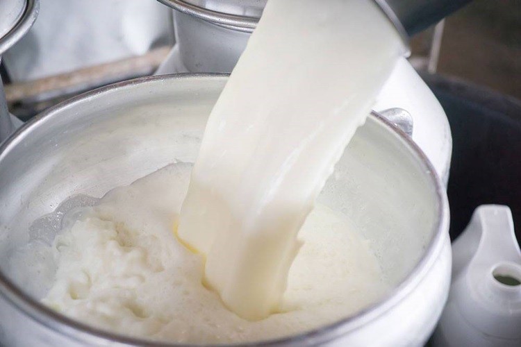Gürer: Süt Üreticileri, USK’nın Belirlediği Fiyattan Satış Yapamıyor
