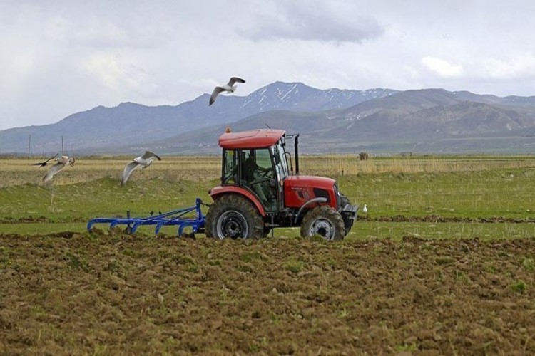 TARSİM'den üreticiye 130 milyon TL'lik bayram ödemesi