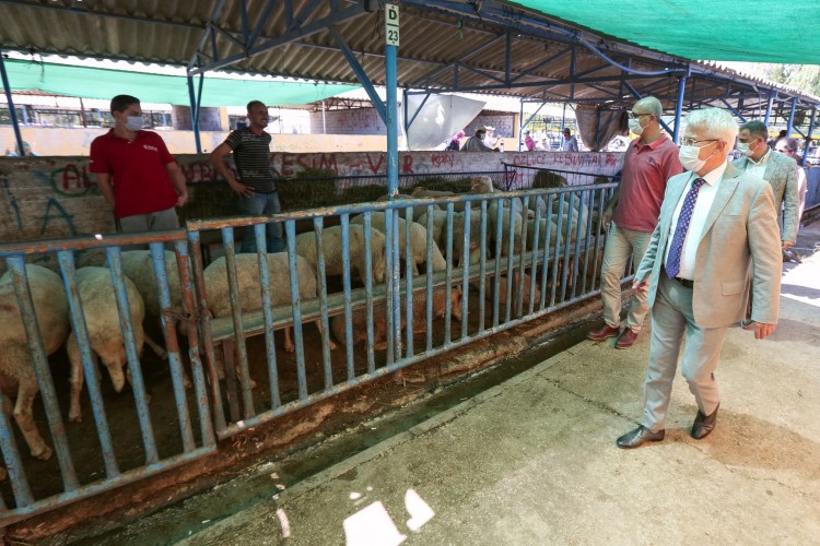 Başkan Erdem’den hayvan pazarına ziyaret