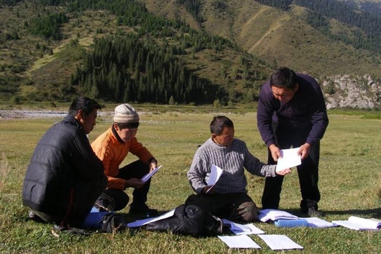Orta Asya’da Ormanları Korumak İçin Yeni Programın Yol Haritasında Sona Geliniyor
