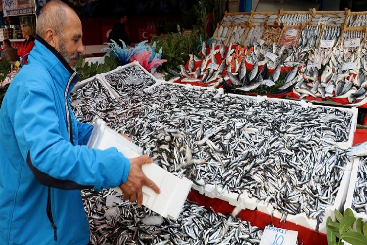 Sezon Başına Göre Hamsinin Fiyatı 3 Kat Ucuzladı