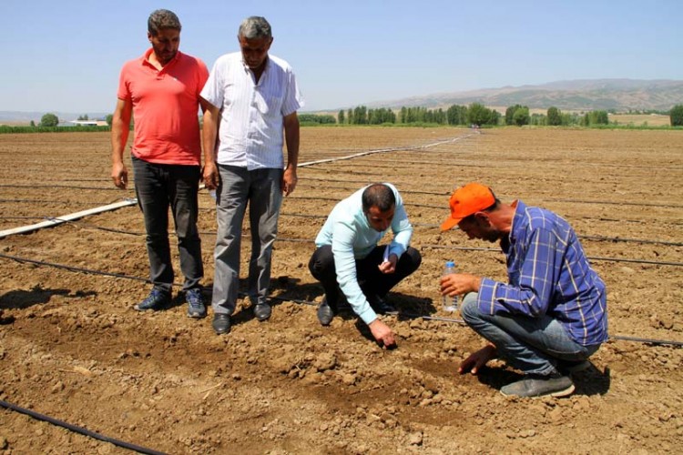 Bingöl nüfusunun yaklaşık %44’ü tarım ve hayvancılıkla geçinmektedir