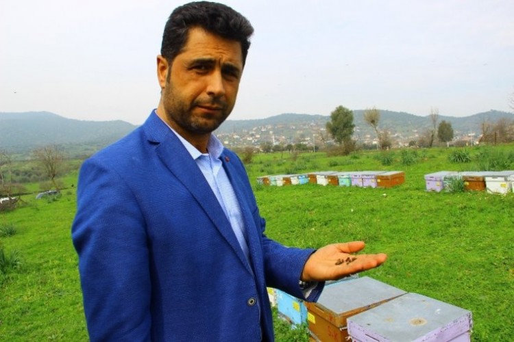 Türkiye'de Arıcısını Bu Kadar Ezen Aydın Dışında Başka Bir Tarım Müdürlüğü Yoktur