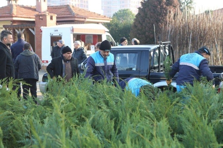 Nilüfer Belediyesi’nden Vatandaşlara Ücretsiz Fidan