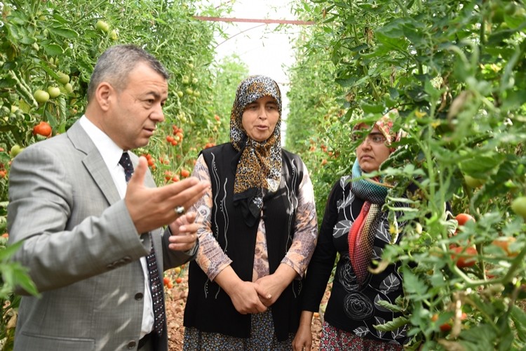 Antalya'da 10 Binden Fazla Üreticiye Biyolojik Mücadele Eğitimi Verildi